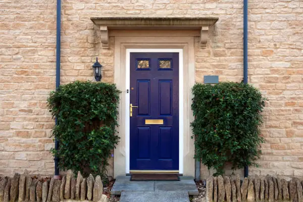 Back Doors