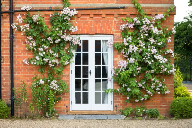 Wooden French Doors Wooden French Doors